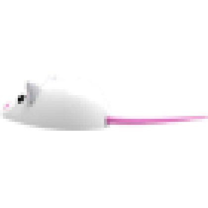Mouse Chew Toy