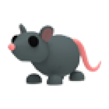 Rat