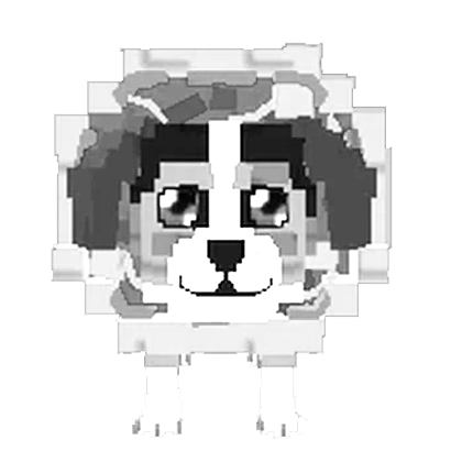 Yin Yang Perrito Burrito